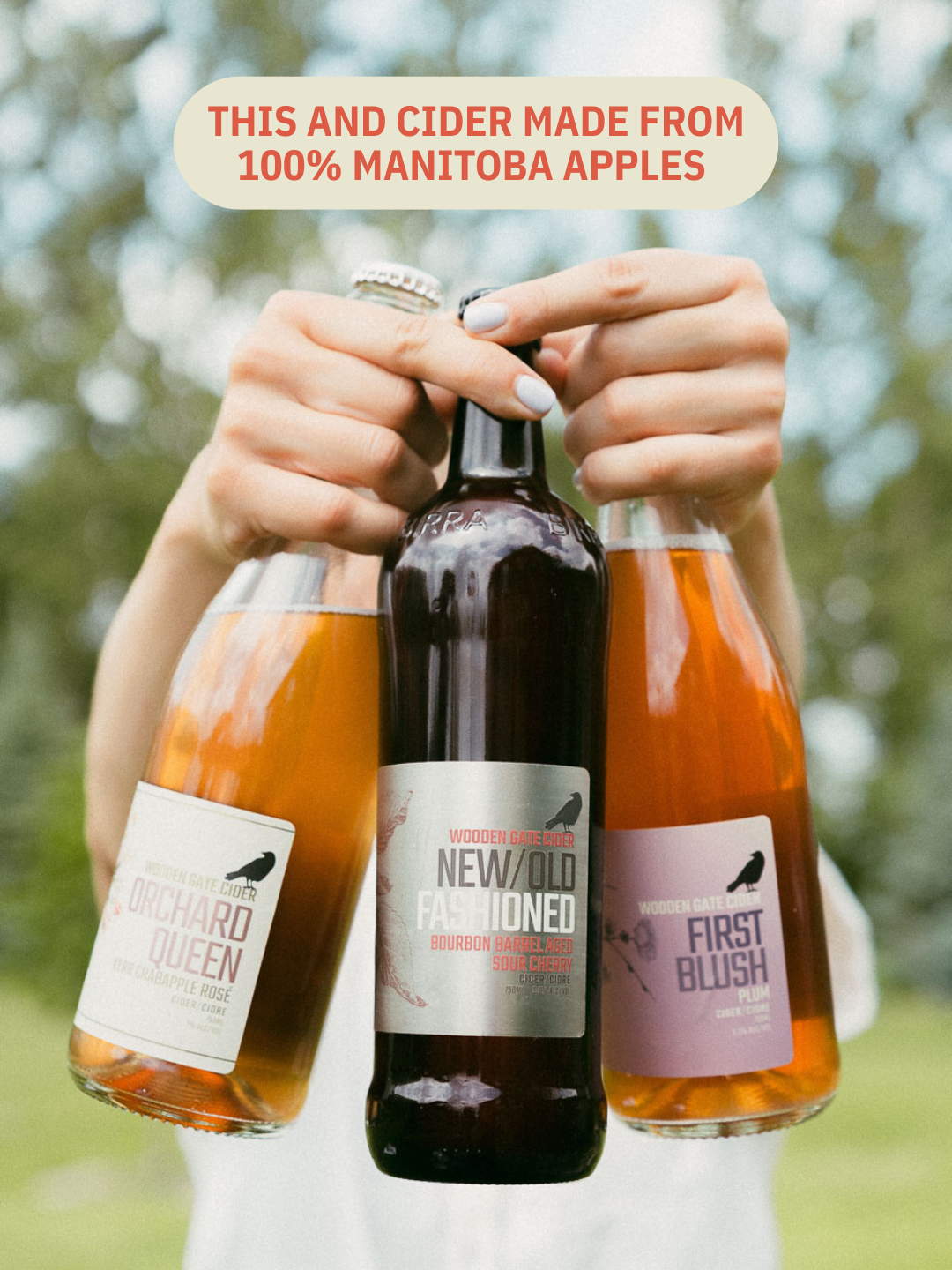 Come Visit Us at the Cidery