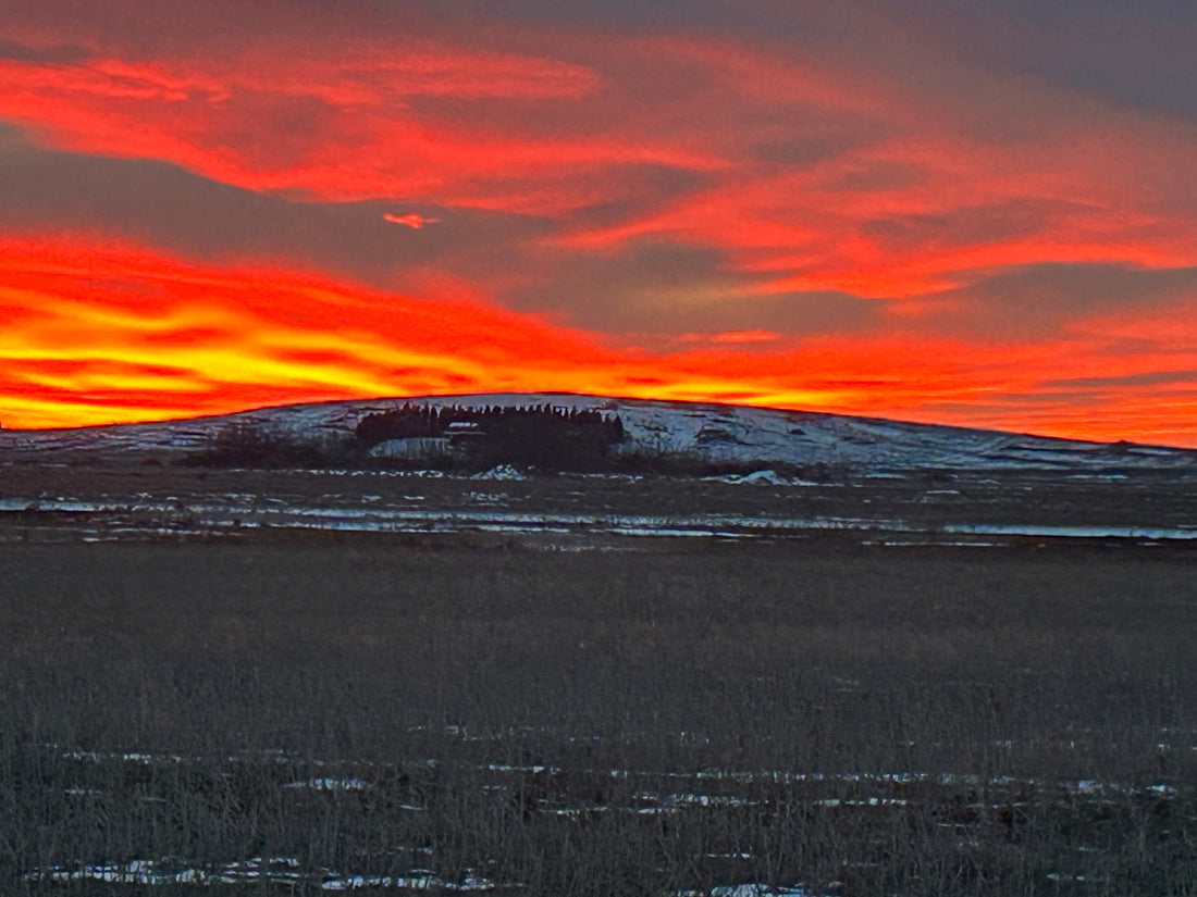 Sunsets in the country