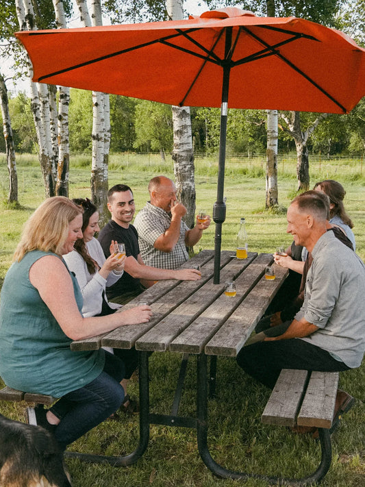 In the Orchard Experience